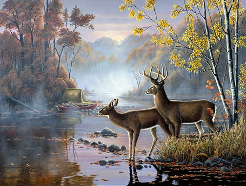 Mist On The River Black Ornate Wood Framed Art Print with Double Matting by Goebel, Wilhelm