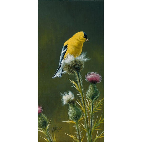 Goldfinch On Thistle Gold Ornate Wood Framed Art Print with Double Matting by Goebel, Wilhelm