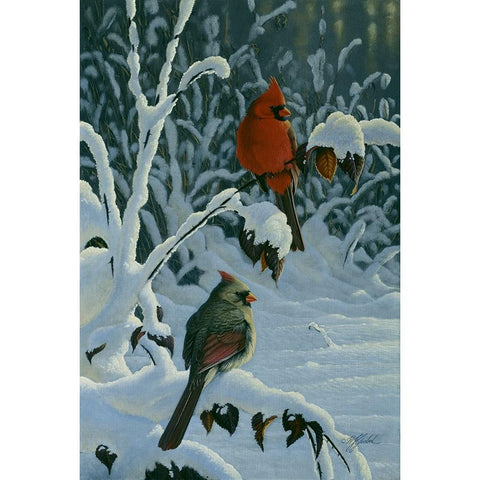 Cardinals And Brambles White Modern Wood Framed Art Print by Goebel, Wilhelm