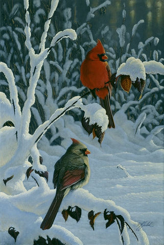 Cardinals And Brambles White Modern Wood Framed Art Print with Double Matting by Goebel, Wilhelm