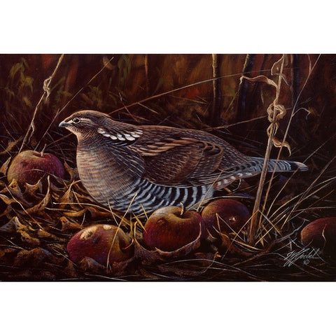 Autumn Apples And Grouse Black Modern Wood Framed Art Print with Double Matting by Goebel, Wilhelm