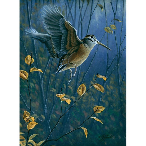 Woodcock On The Wing Gold Ornate Wood Framed Art Print with Double Matting by Goebel, Wilhelm