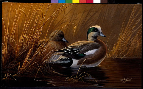 Widgeon In The Grass Black Ornate Wood Framed Art Print with Double Matting by Goebel, Wilhelm