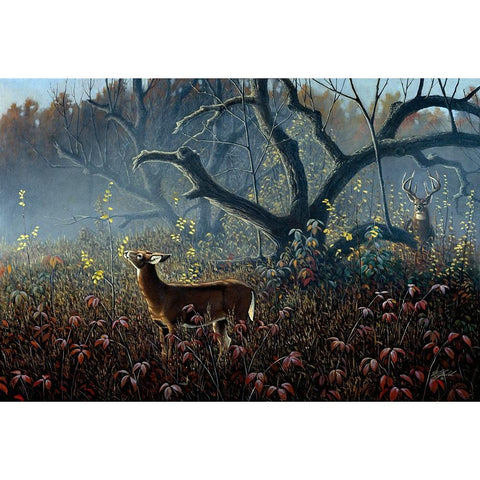 Old Orchard - Whitetails White Modern Wood Framed Art Print by Goebel, Wilhelm