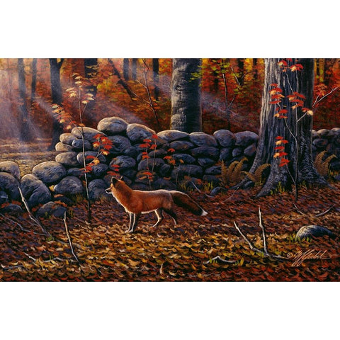 Autumn Reds - Red Fox White Modern Wood Framed Art Print by Goebel, Wilhelm