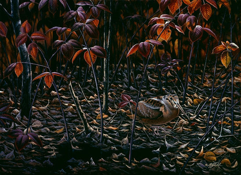 The Woodcocks World White Modern Wood Framed Art Print with Double Matting by Goebel, Wilhelm