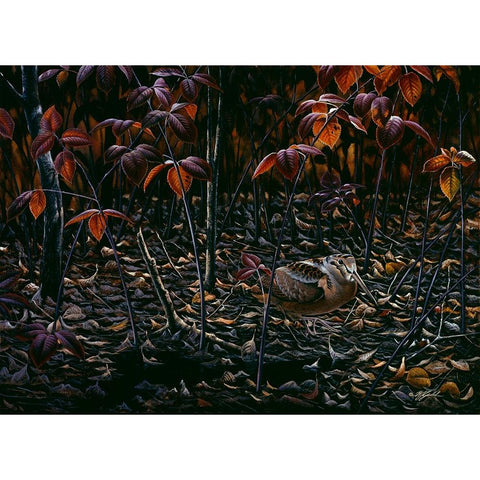 The Woodcocks World Black Modern Wood Framed Art Print by Goebel, Wilhelm