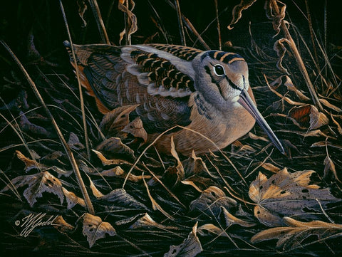 Timberdoodle Black Ornate Wood Framed Art Print with Double Matting by Goebel, Wilhelm