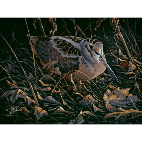 Timberdoodle Black Modern Wood Framed Art Print by Goebel, Wilhelm