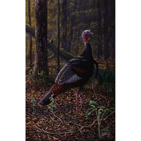 Ever Alert - Wild Turkey Gold Ornate Wood Framed Art Print with Double Matting by Goebel, Wilhelm