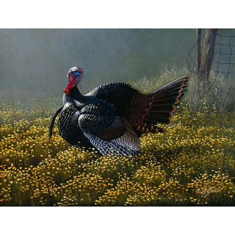 Belly Deep In Buttercups White Modern Wood Framed Art Print by Goebel, Wilhelm