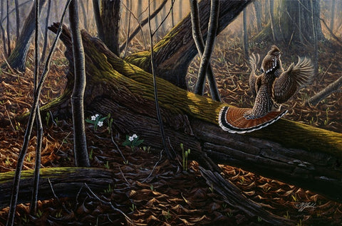 Thunder In The Woods White Modern Wood Framed Art Print with Double Matting by Goebel, Wilhelm