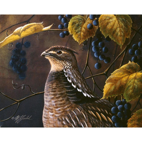Grouse And Grapes White Modern Wood Framed Art Print by Goebel, Wilhelm