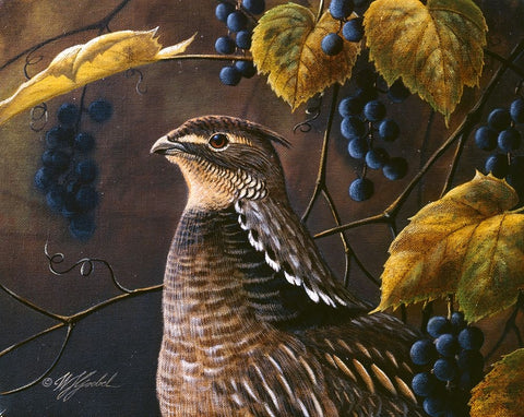 Grouse And Grapes White Modern Wood Framed Art Print with Double Matting by Goebel, Wilhelm