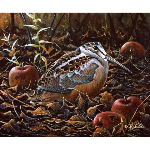 Orchard Woodcock Gold Ornate Wood Framed Art Print with Double Matting by Goebel, Wilhelm