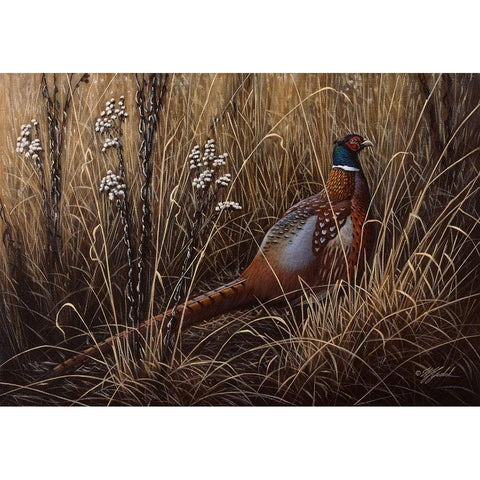 Pheasant In The Grass 2 Gold Ornate Wood Framed Art Print with Double Matting by Goebel, Wilhelm