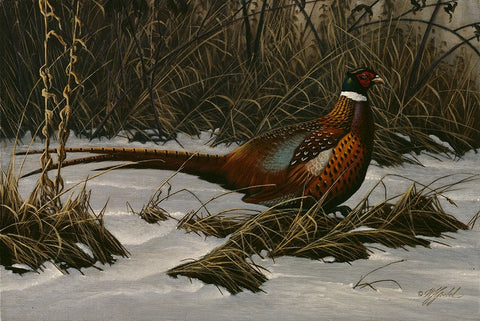 Walking Through Winter White Modern Wood Framed Art Print with Double Matting by Goebel, Wilhelm