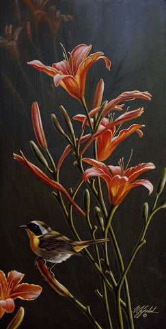 Yellowthroat And Daylilies Black Ornate Wood Framed Art Print with Double Matting by Goebel, Wilhelm