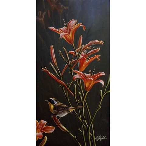 Yellowthroat And Daylilies Black Modern Wood Framed Art Print by Goebel, Wilhelm