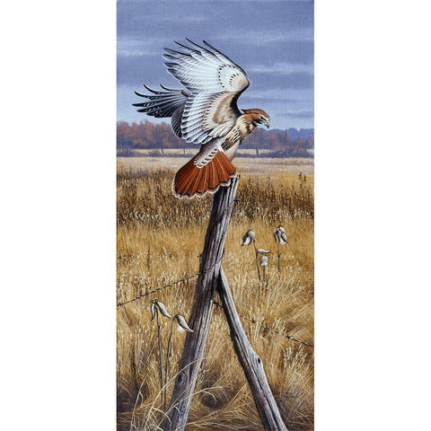 The Corner Post - Red Tailed Hawk Gold Ornate Wood Framed Art Print with Double Matting by Goebel, Wilhelm