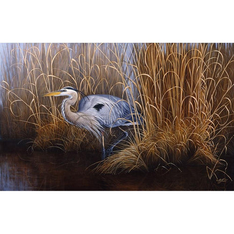 Set In Gold - Great Blue Heron White Modern Wood Framed Art Print by Goebel, Wilhelm