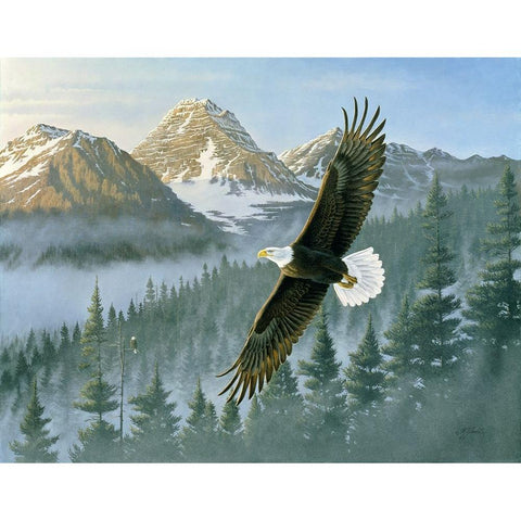 Soaring Eagle Gold Ornate Wood Framed Art Print with Double Matting by Goebel, Wilhelm