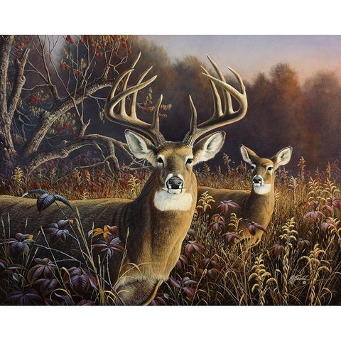 Deer White Modern Wood Framed Art Print by Goebel, Wilhelm