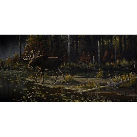 Autumn Moose White Modern Wood Framed Art Print by Goebel, Wilhelm