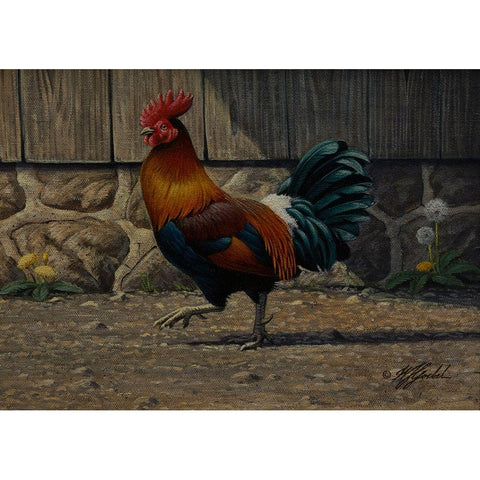 Barnyard Strut - Bantam Rooster White Modern Wood Framed Art Print by Goebel, Wilhelm