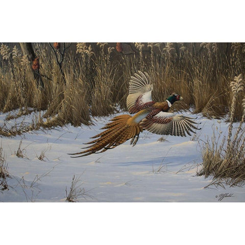 Landing Zone White Modern Wood Framed Art Print by Goebel, Wilhelm