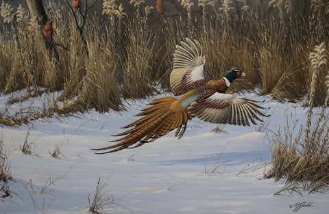 Landing Zone Black Ornate Wood Framed Art Print with Double Matting by Goebel, Wilhelm