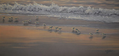 Morning Surf And Sanderlings Black Ornate Wood Framed Art Print with Double Matting by Goebel, Wilhelm