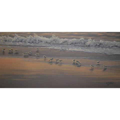 Morning Surf And Sanderlings Black Modern Wood Framed Art Print with Double Matting by Goebel, Wilhelm