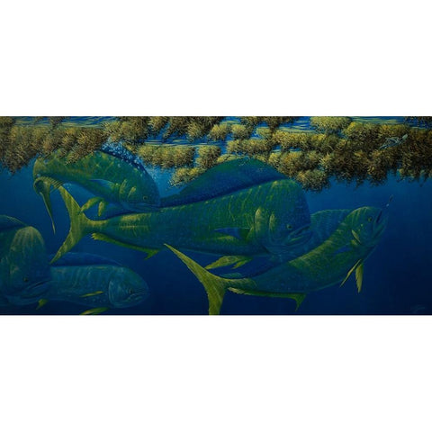 Opalescence Black Modern Wood Framed Art Print with Double Matting by Goebel, Wilhelm