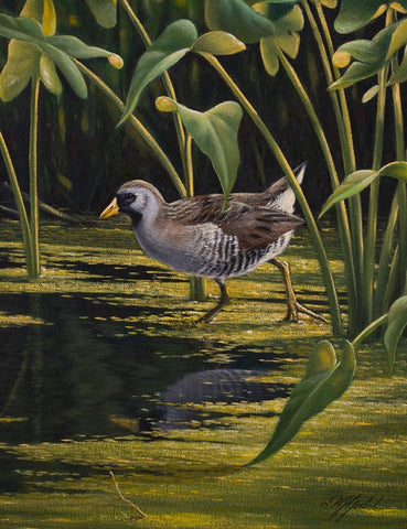Sora Rail White Modern Wood Framed Art Print with Double Matting by Goebel, Wilhelm