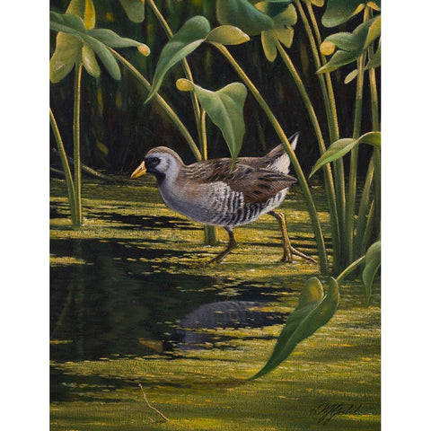 Sora Rail Black Modern Wood Framed Art Print by Goebel, Wilhelm