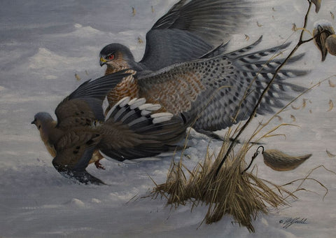 Sudden Impact Black Ornate Wood Framed Art Print with Double Matting by Goebel, Wilhelm