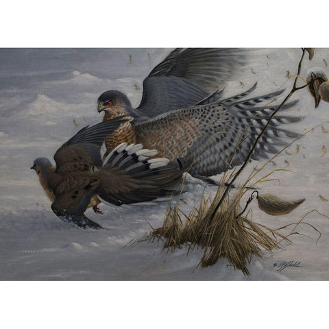 Sudden Impact Gold Ornate Wood Framed Art Print with Double Matting by Goebel, Wilhelm