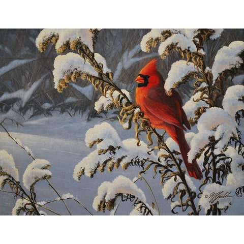 Winter Cardinal Gold Ornate Wood Framed Art Print with Double Matting by Goebel, Wilhelm