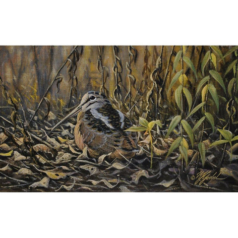 Woodcock Black Modern Wood Framed Art Print with Double Matting by Goebel, Wilhelm