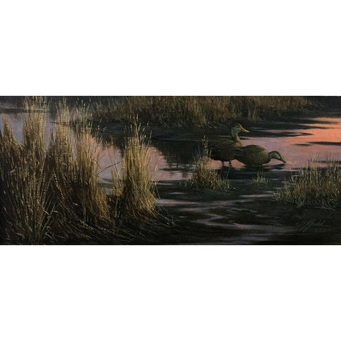 Black Ducks at Dusk Gold Ornate Wood Framed Art Print with Double Matting by Goebel, Wilhelm