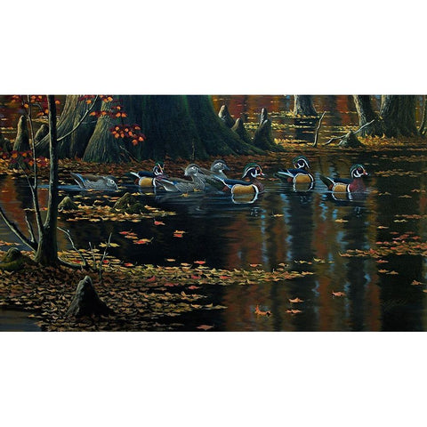 Cypress Jewels - Wood Ducks Black Modern Wood Framed Art Print by Goebel, Wilhelm