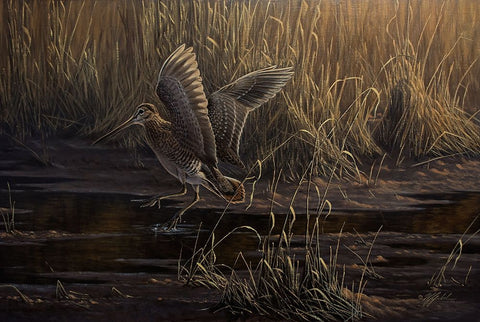 Dropping In Black Ornate Wood Framed Art Print with Double Matting by Goebel, Wilhelm