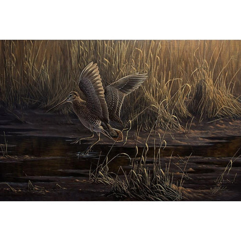 Dropping In Black Modern Wood Framed Art Print with Double Matting by Goebel, Wilhelm