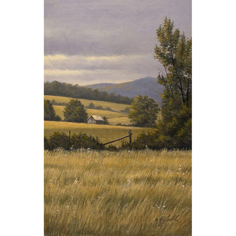 Hayfields Near Arlington Black Modern Wood Framed Art Print with Double Matting by Goebel, Wilhelm