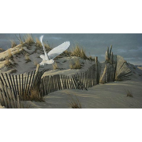 Launch - Snowy Owl Black Modern Wood Framed Art Print by Goebel, Wilhelm