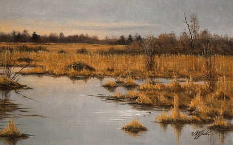 Muskrat Marsh White Modern Wood Framed Art Print with Double Matting by Goebel, Wilhelm