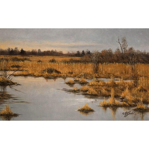 Muskrat Marsh Black Modern Wood Framed Art Print by Goebel, Wilhelm