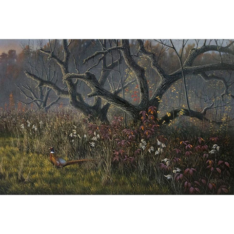 Old Orchard and Pheasant Black Modern Wood Framed Art Print with Double Matting by Goebel, Wilhelm