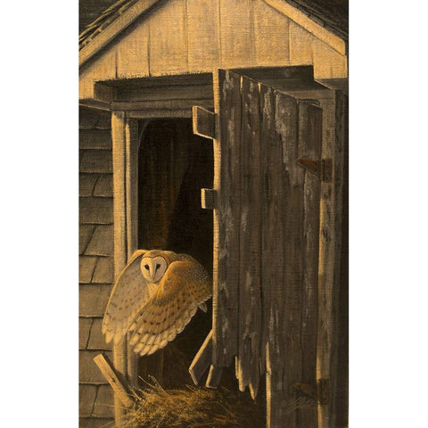 Out of the Darkness - Barn Owl Gold Ornate Wood Framed Art Print with Double Matting by Goebel, Wilhelm